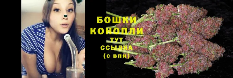 купить наркоту  Новоуральск  Бошки марихуана SATIVA & INDICA 